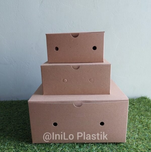 Dus Box Brown Kraft BK Kaca berbagai ukuran