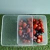 Thinwall DM SQ 3000ml -2