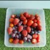Thinwall DM SQ 3000ml