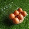 Egg Tray / Mika Telur / Tempat Telur isi 6 dengan Klip Pengunci