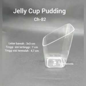 Temoat Pudding CH-28